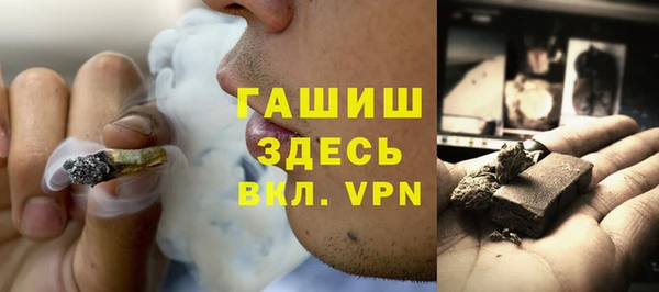 МДПВ Бородино