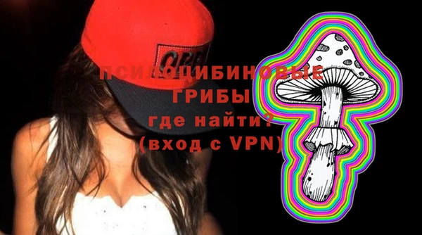прущие грибы Верхний Тагил
