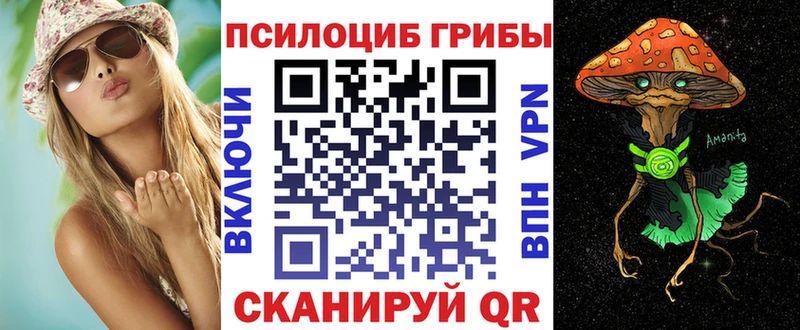 Псилоцибиновые грибы MAGIC MUSHROOMS  как найти закладки  Ирбит 